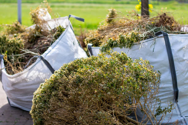 Best Junk Removal and Recycling  in Elgin, IL