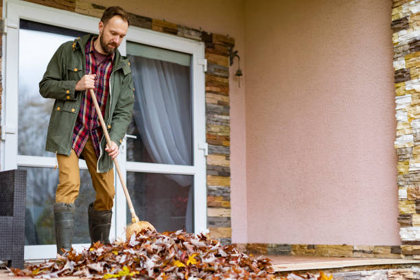 Best Attic Cleanout Services  in Elgin, IL